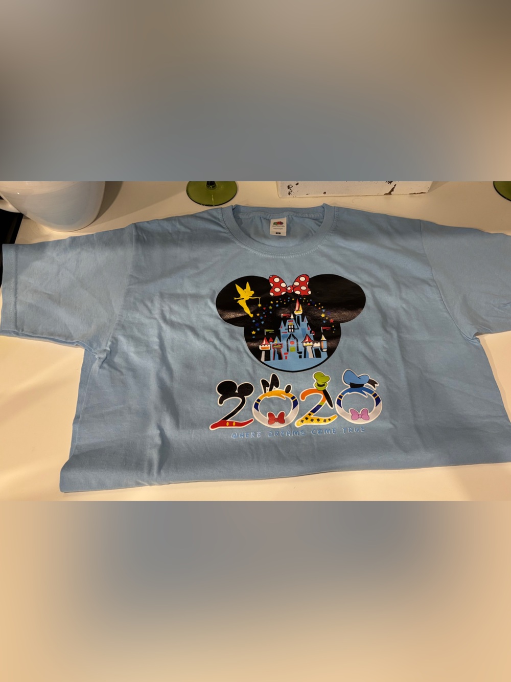 Fruit of the Loom Light Blue Adult Medium Disney Tee 2020